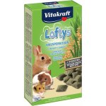 Vitakraft Rodent Lofty´s all rodent 100 g – Sleviste.cz