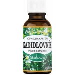 Saloos esenciální olej Kadidlovník 20 ml – Hledejceny.cz