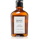 Depot NO. 101 Normalizing Daily Shampoo 250 ml