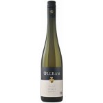 Allram Riesling DAC Kamptal 13% 0,75 l (holá láhev) – Hledejceny.cz
