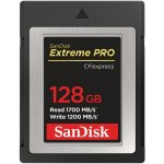 SanDisk 128 GB SDCFE-128G-GN4NN – Zboží Živě