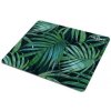 Podložky pod myš Podložka pod myš Natec PALM TREE, 220x180mm (NPF-1431)