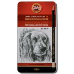 Koh-i-Noor 1900 Toison D´or 8B 2H – Zboží Živě