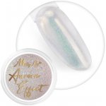 Allepaznokcie Aurora pigment 04 – Hledejceny.cz