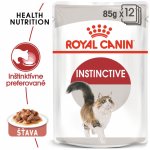 Royal Canin Instinctive Gravy 12 x 85 g – Hledejceny.cz