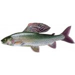 Gaby Polštář ryba Lipan podhorní 65 cm – Hledejceny.cz