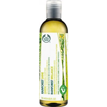 The Body Shop Rainforest Moisture Shampoo 250 ml