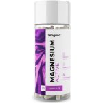 Zengana Magnesium Performance 50 kapslí – Hledejceny.cz