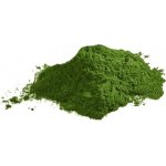 LifeLike BIO Chlorella 100 g – Hledejceny.cz