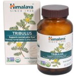 Himalaya Tribulus 60 kapslí – Hledejceny.cz