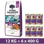 Velxara Balanced FM Dog Adult Monoprotein Lamb & Rice 12 kg – Hledejceny.cz