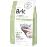 Brit Veterinary Diets Cat GF diabetes 5 kg – Sleviste.cz