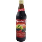 Rabenhorst Šťáva regenerace Bio 0,75 l – Sleviste.cz