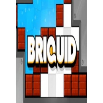 Briquid