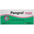 PANGROL POR 20000IU TBL ENT 20 II