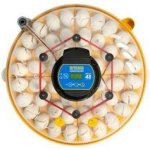 Brinsea Maxi 48 Advance automatická líheň pro slepice a husy – Zboží Mobilmania