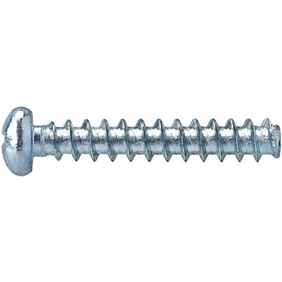 Pematex Šroub do plastu Plast-Fast 30° 2,5x12 PH ZB Torx 8 – Hledejceny.cz