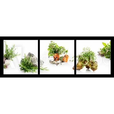 Obraz s hodinami 3D třídílný - 150 x 50 cm - Marjoram, oregano, rosemary garden herbs set Majoránka, oregano, rozmarýnové zahradní byliny
