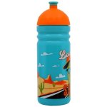 Zdravá lahev Kaktus 700 ml – Zbozi.Blesk.cz