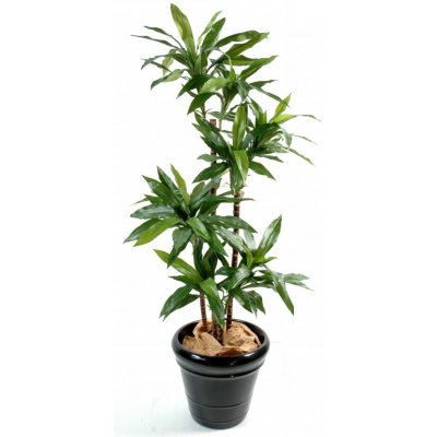 Umělá palma Dracena deluxe, 95cm – Zbozi.Blesk.cz