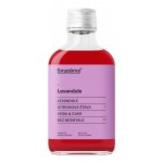 Sirupárna Domácí Levandulový Sirup 100 ml – Hledejceny.cz