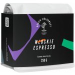 Bracia Ziółkowscy italské Espresso zrnková 250 g – Hledejceny.cz