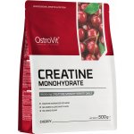 OSTROVIT Creatine 500 g – Hledejceny.cz