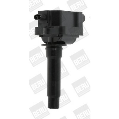 Zapalovací cívka BorgWarner (BERU) ZS434 – Hledejceny.cz