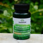 Swanson Sulforaphane Broccoli extract Sulforafan z extraktu z brokolice 400 mcg 60 rostlinných kapslí – Hledejceny.cz
