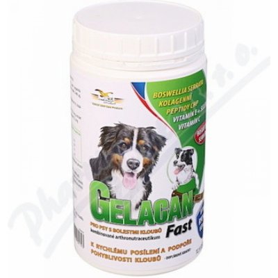 Gelacan Fast 500 g a.u.v.