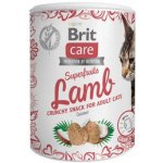 Brit Care Cat Snack Superfruits Lamb 100 g – Zbozi.Blesk.cz