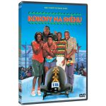 kokosy na sněhu DVD – Zboží Mobilmania
