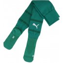 Puma Team FINAL Socks