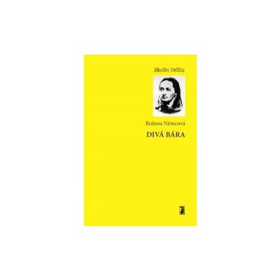 Divá Bára - ePub – Zboží Mobilmania