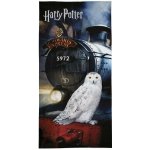 Jerry Fabrics Osuška Harry Potter "Hedwig" 70 x 140 cm – Sleviste.cz