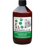 Dromy BOSWELLIA Serrata liq. 1000 ml – Sleviste.cz