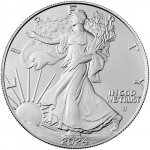 The United States Mint American Eagle stříbrná mince 1 Oz – Zboží Dáma