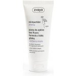 Ziaja Jílová Verbena & máta 100 ml – Hledejceny.cz