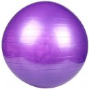 Merco Gym ball 65cm