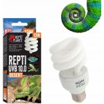 Repti Planet Desert UVB 10.0 13 W – Zboží Dáma