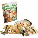 Albi Kvído Karty a puzzle pro mluvicí tablík Zvířátka z lesa – Zboží Dáma