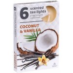 Admit Tea Lights Coconut-Vanilla 6 ks – Zboží Mobilmania