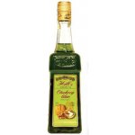 Hill's Euphoria Elixir Absinth 79% 0,1 l (holá láhev) – Zboží Dáma
