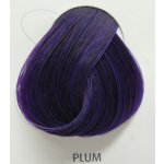 La Riché Directions 10 Plum 89 ml – Hledejceny.cz