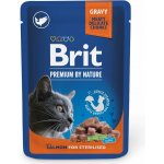 Brit Premium Cat Sterilised Salmon 100 g – Zbozi.Blesk.cz