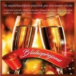 Various - Blahopřejeme/20 písní CD – Zboží Dáma