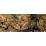 Diversa 3D pozadí Standard 120 x 60 cm – Zboží Dáma