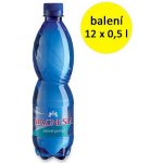 Magnesia jemně perlivá 12 x 0,5 l – Zboží Dáma