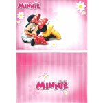 dětská obálka Disney Varianta: V6 – Zboží Živě