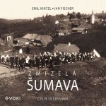 Zmizelá Šumava - Emil Kintzl, Jan Fischer – Zboží Dáma